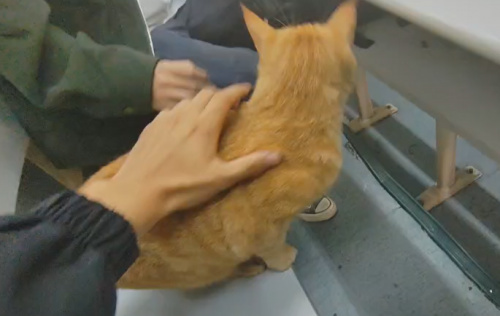 与爱为盟 守护予它 | 2023年份的温暖持续签收中 √